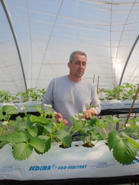 EARL La Berthiere - Fraises, producteur de fruits et légumes, Maraîcher