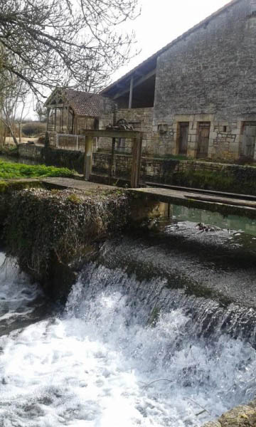 SARL Moulin de Bourgon - Producteur de Farine