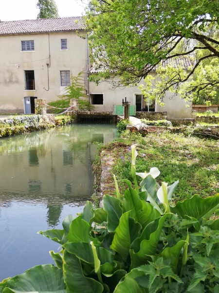 SARL Moulin de Bourgon