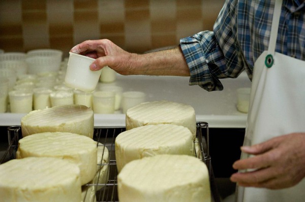 GAEC de l'Argentor - Exploitation d'élevage bovin et production fromagère