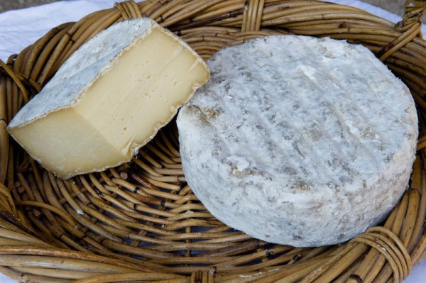 GAEC de l'Argentor - Exploitation d'élevage bovin et production fromagère