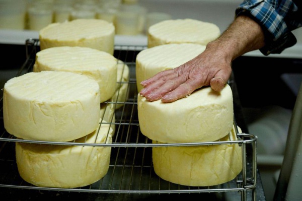 GAEC de l'Argentor - Exploitation d'élevage bovin et production fromagère